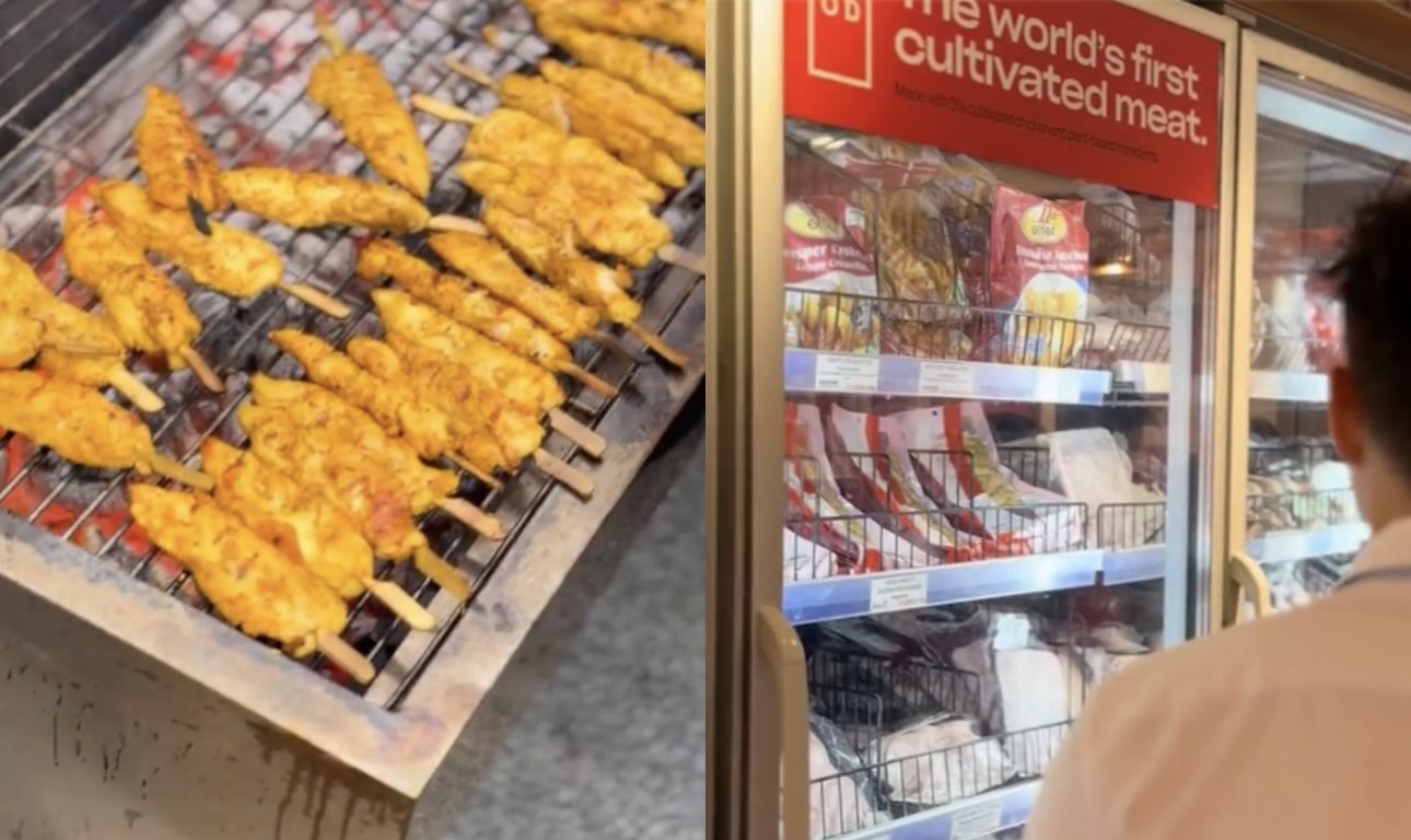 Singapore becomes No. 1 for lab-grown meat innovation, while others are still sceptical of the technology